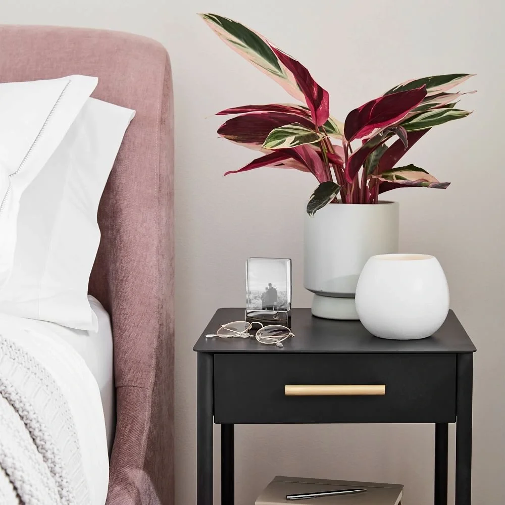 ONE OFF WHITE West Elm Pure Ceramic Two-Wick Candle